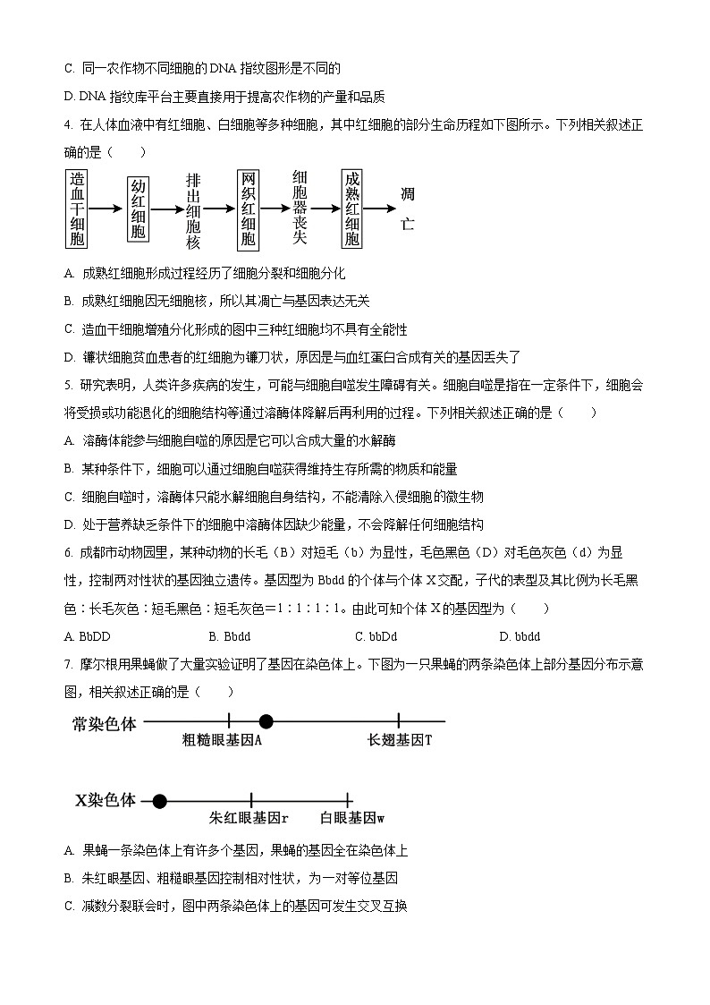 四川省雅安市2023-2024学年高一下学期期末考试生物试卷（Word版附解析）第2页