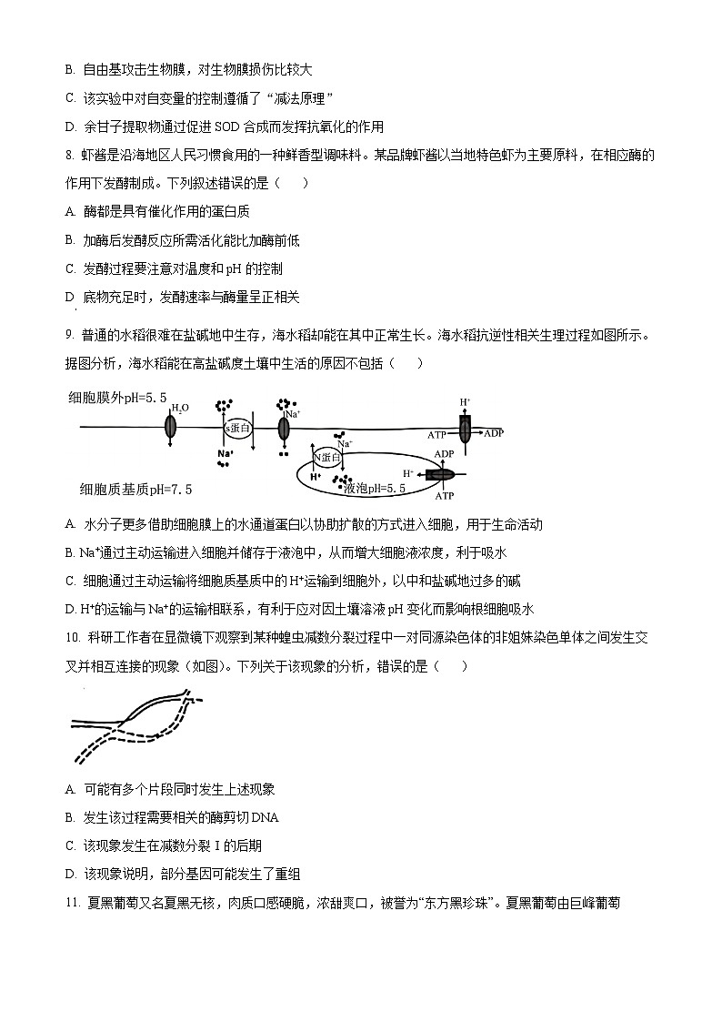 广东省佛山市2023-2024学年高一下学期7月期末考试生物试卷（Word版附解析）03
