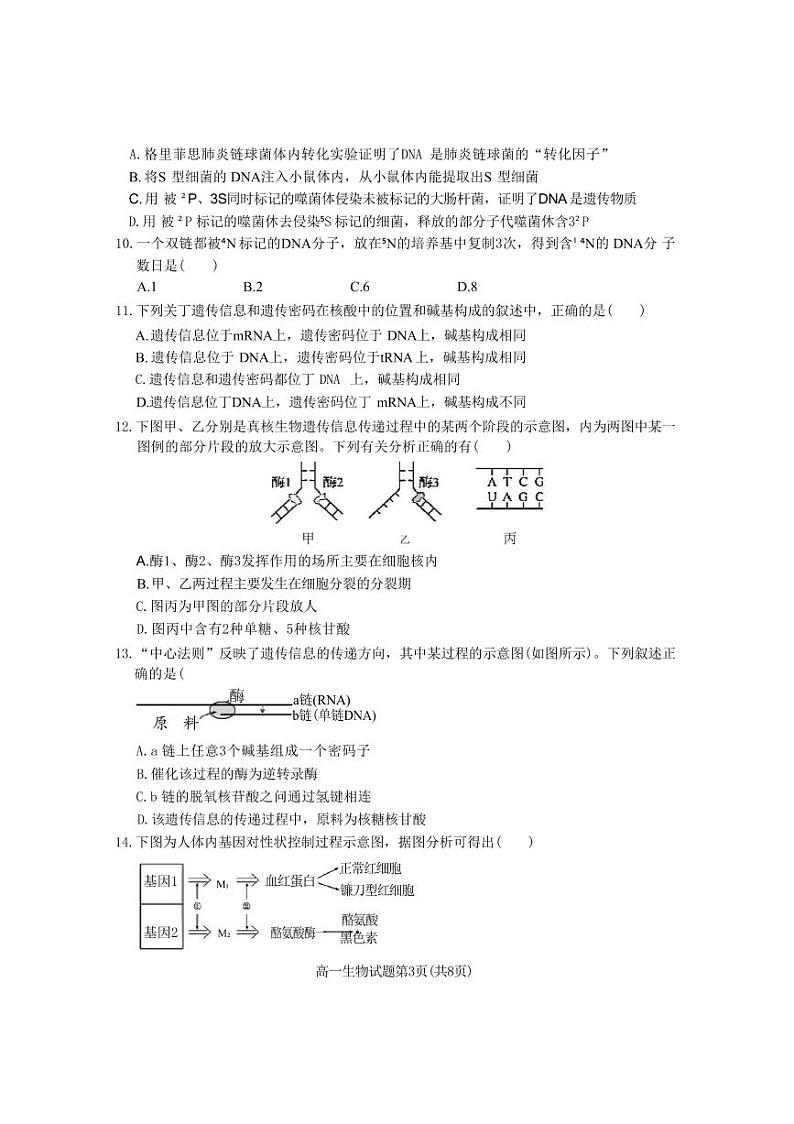 生物-陕西省渭南市大荔县2023-2024学年高一下学期期末试卷【含答案】第3页