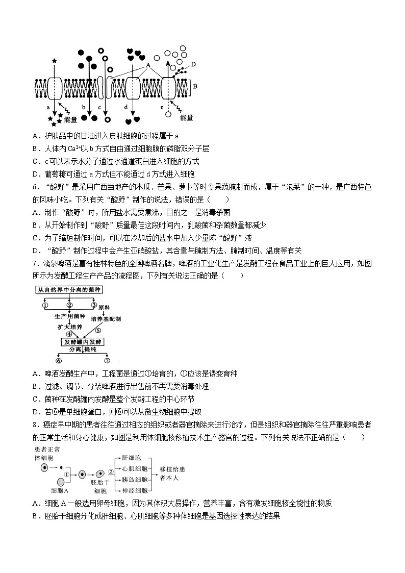 2024桂林高二下学期期末考试生物含答案02