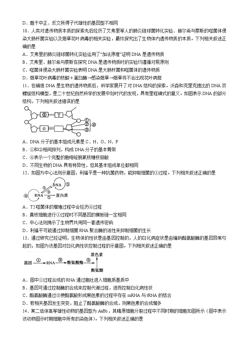 辽宁省朝阳市建平县第二高级中学2023-2024学年高一下学期7月期末生物试题03