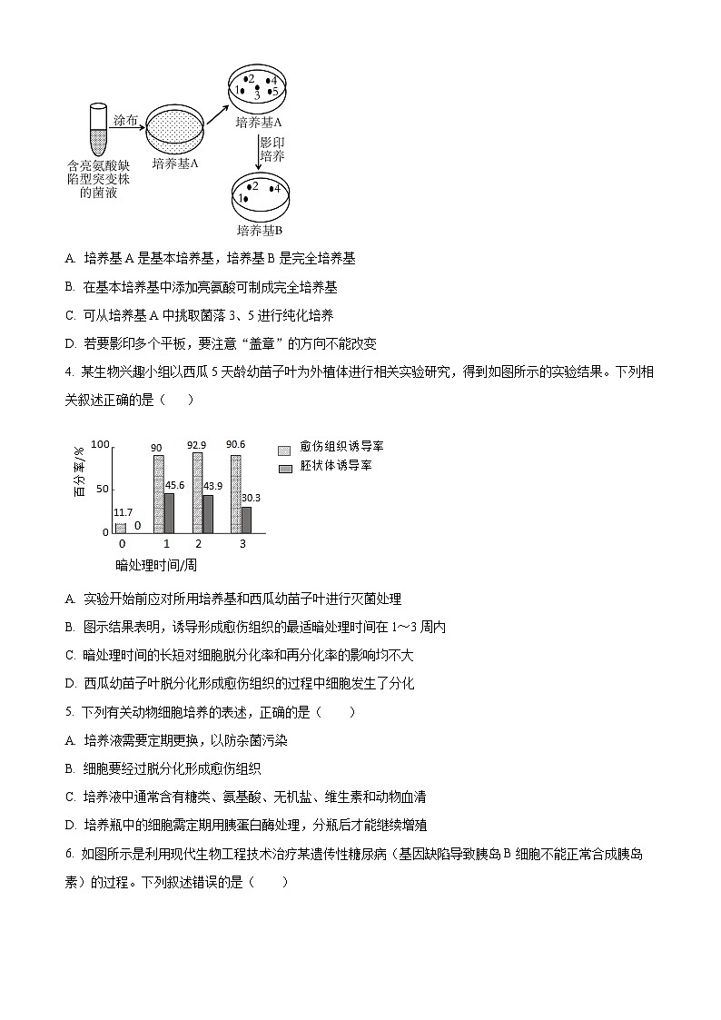 陕西省西安市高新第一中学2023-2024 学年高二下学期期末生物试题（原卷版+解析版）02
