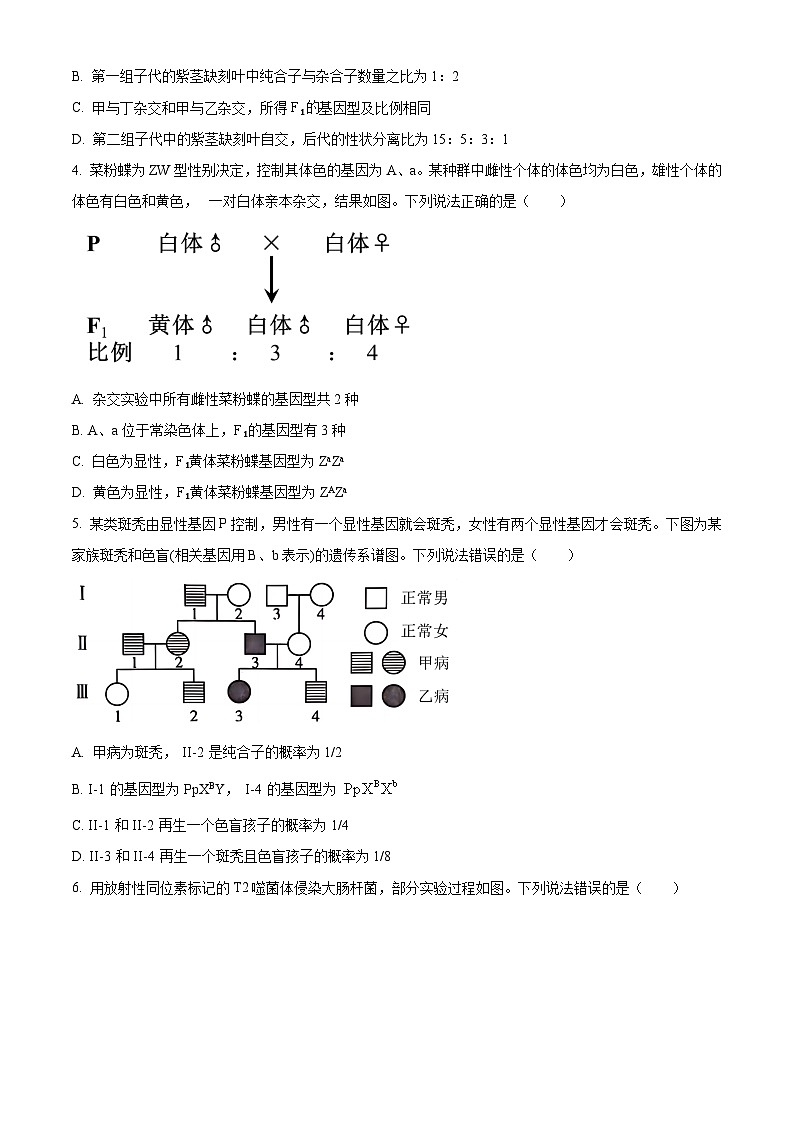 山东省淄博市2023-2024学年高一下学期7月期末考试生物试题（Word版附解析）02