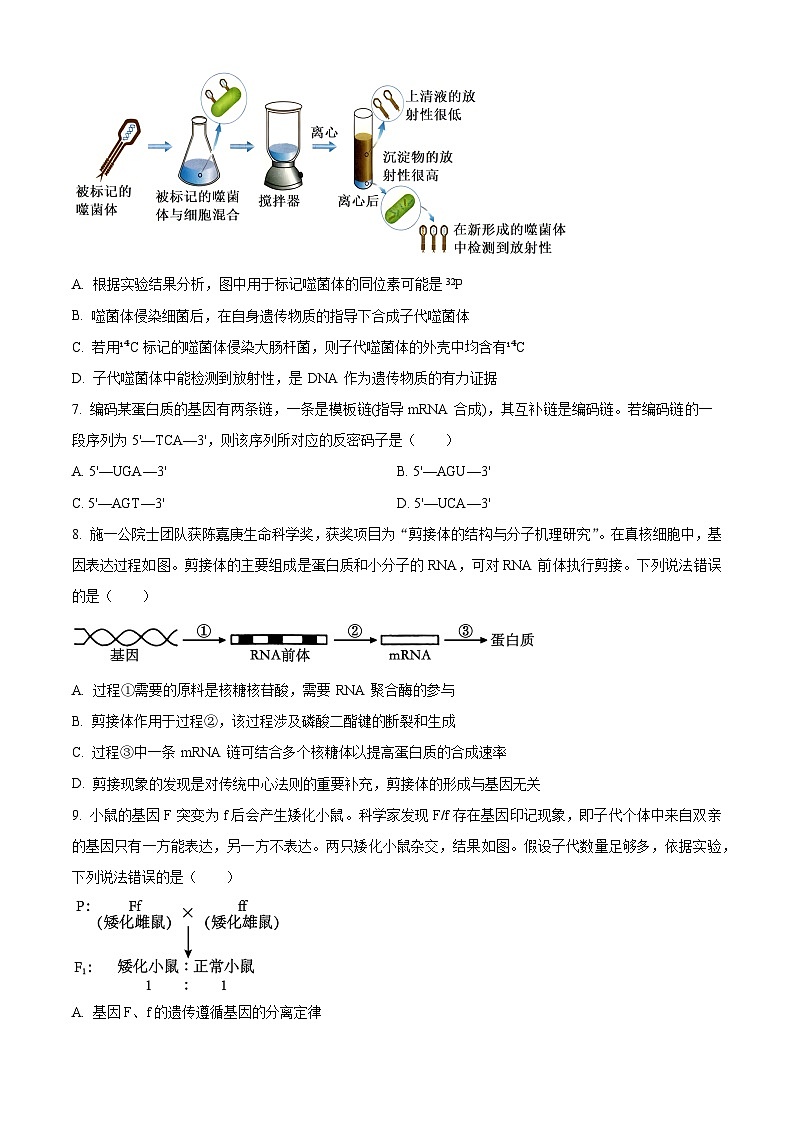 山东省淄博市2023-2024学年高一下学期7月期末考试生物试题（Word版附解析）03