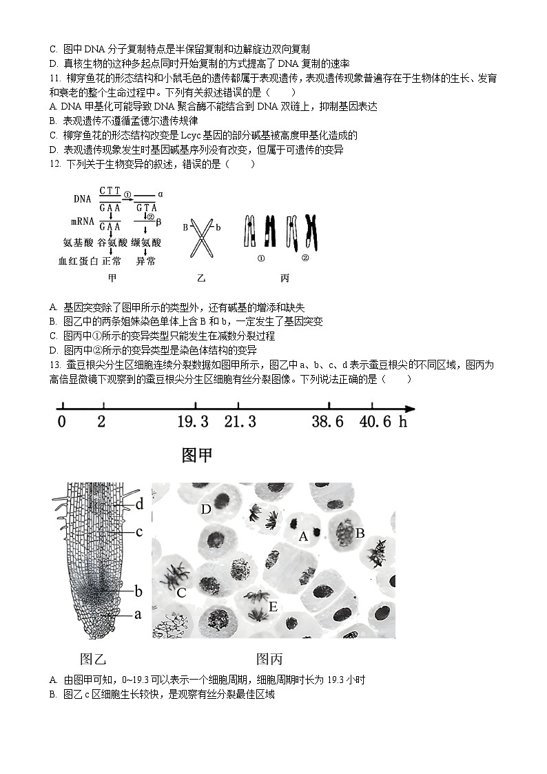 广东省惠州市2023-2024学年高一下学期期末考试 生物试题 Word版含答案03