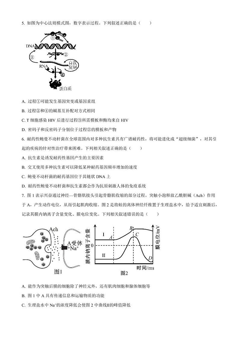 湖南名校联考联合体2025届新高三入学摸底考试生物试题02