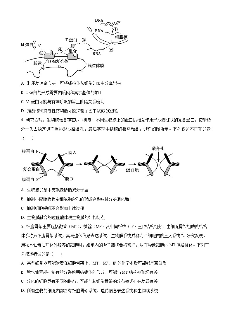 2024许昌高二下学期7月期末考试生物含解析第2页