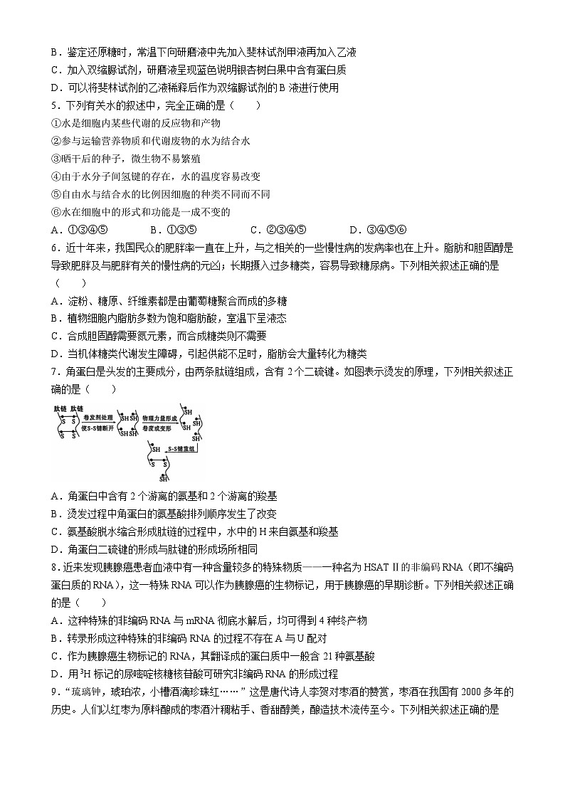 2024商丘商师联盟高二下学期7月期末考试生物含解析02
