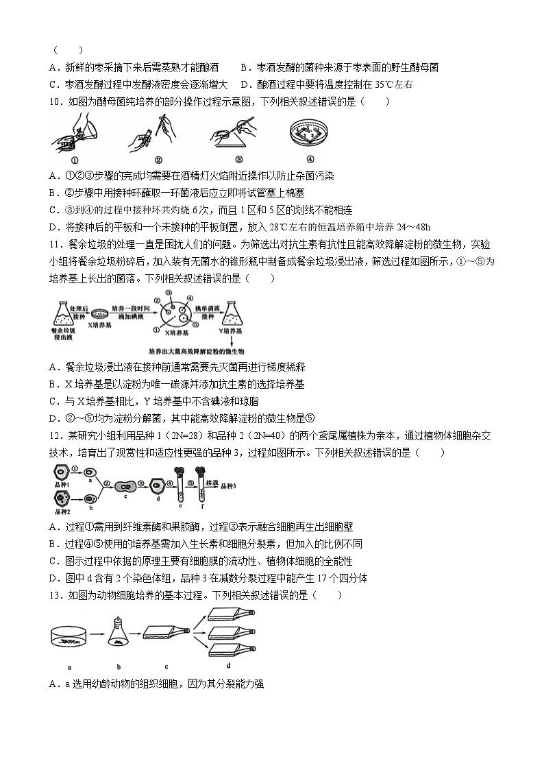 2024商丘商师联盟高二下学期7月期末考试生物含解析03