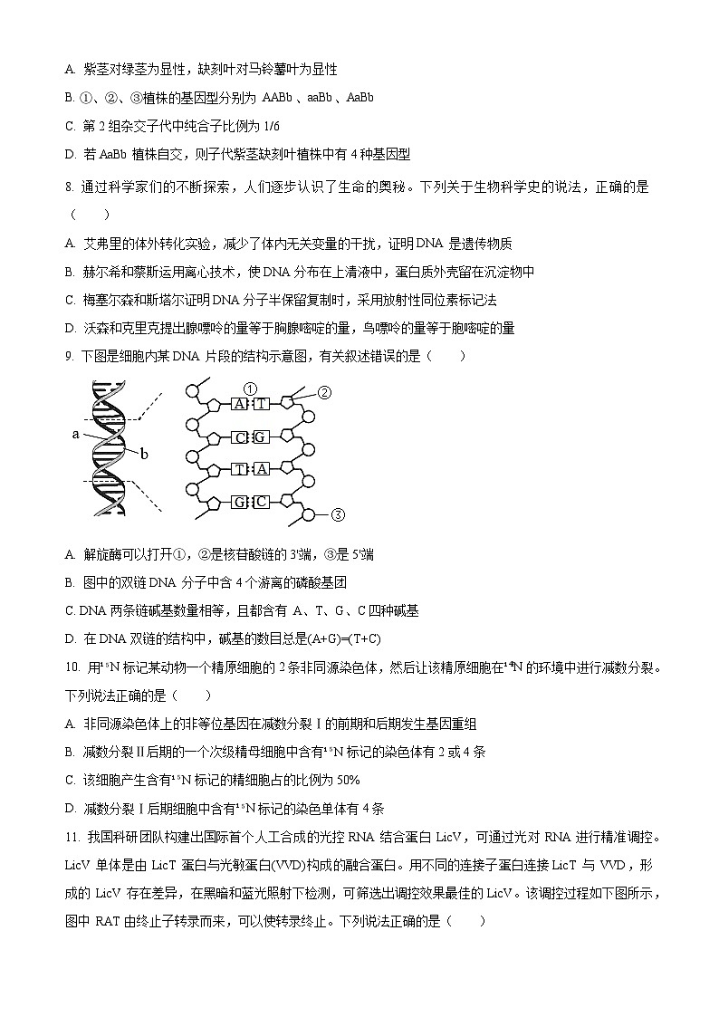 2024枣庄高一下学期7月期末考试生物含解析03