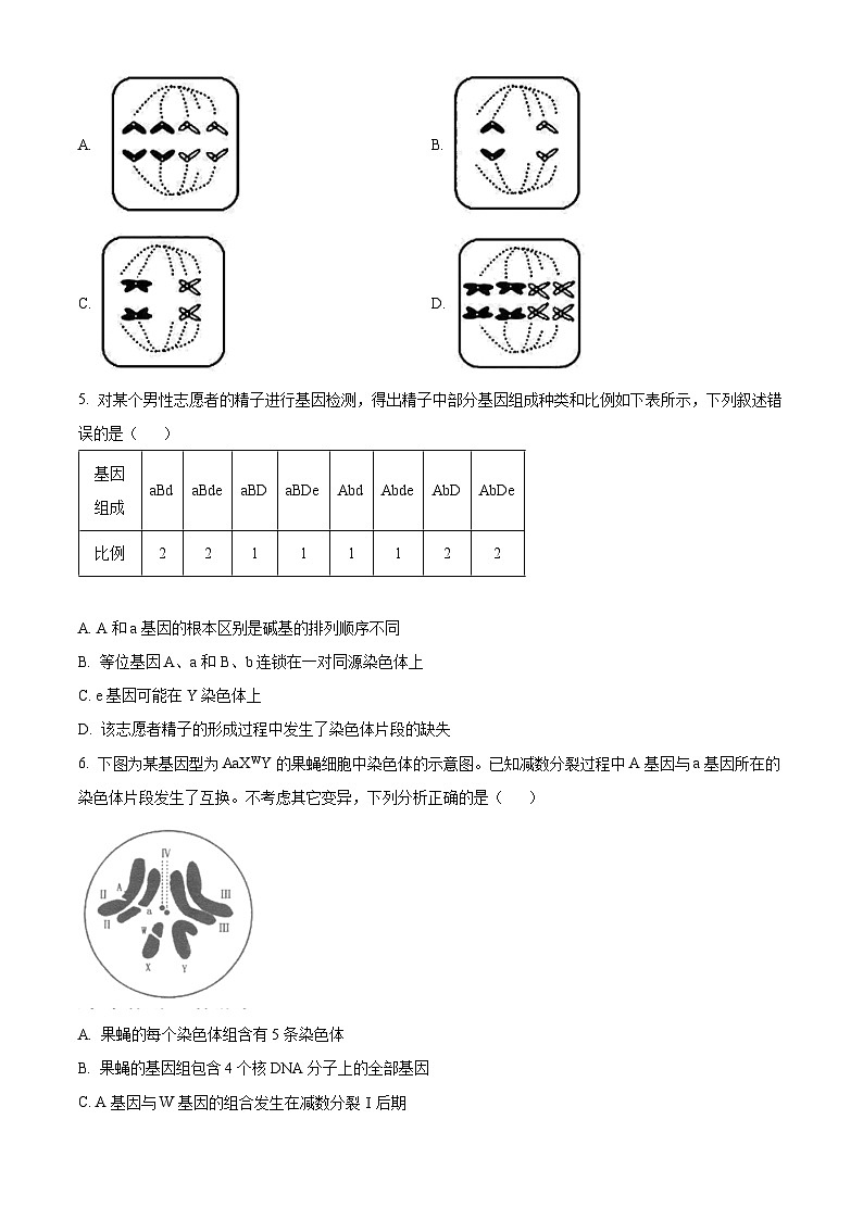 2024许昌高一下学期7月期末考试生物含解析02