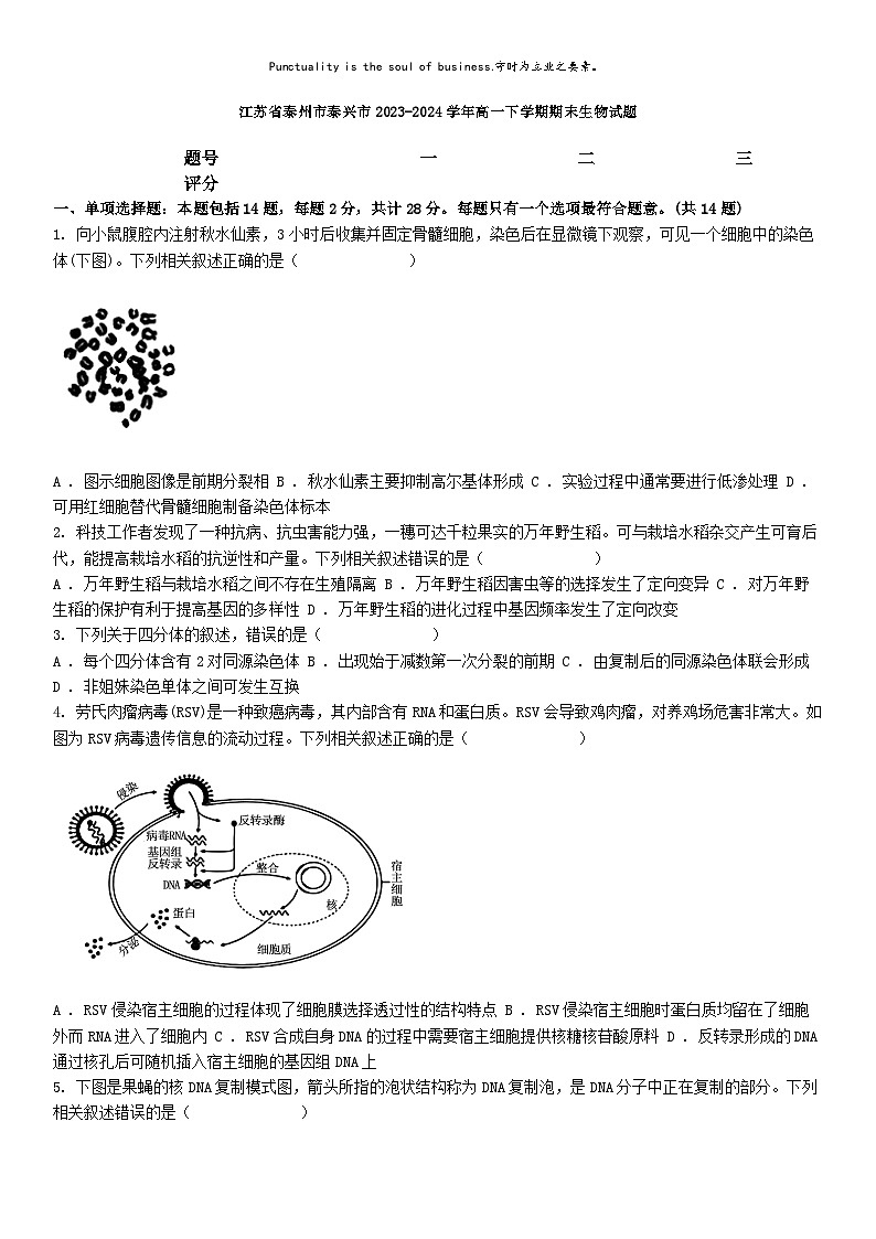 [生物][期末]江苏省泰州市泰兴市2023-2024学年高一下学期期末生物试题01