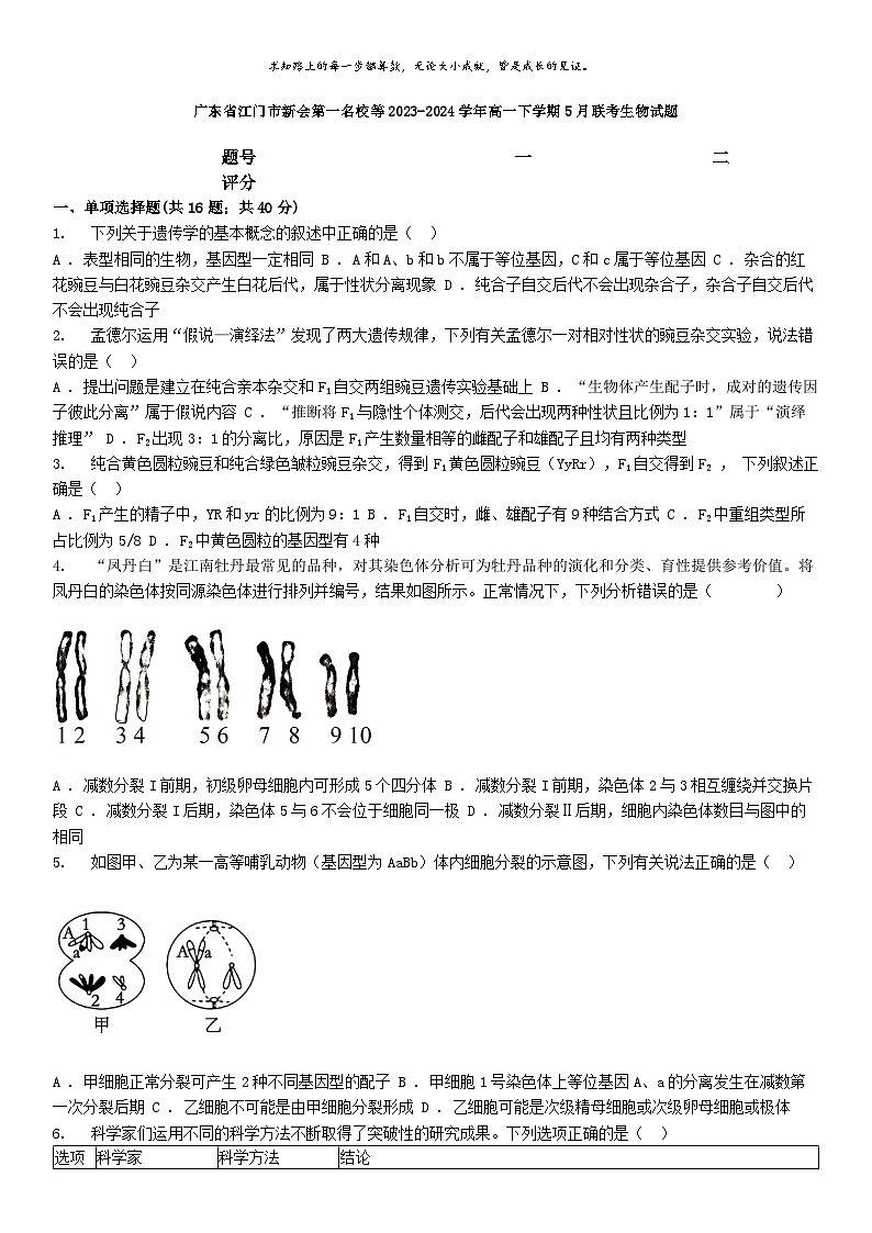 [生物]广东省江门市新会第一名校等2023-2024学年高一下学期5月联考生物试题01