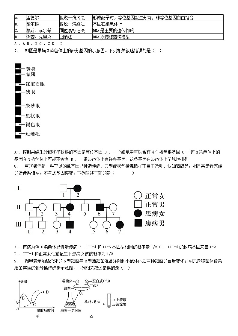 [生物]广东省江门市新会第一名校等2023-2024学年高一下学期5月联考生物试题02