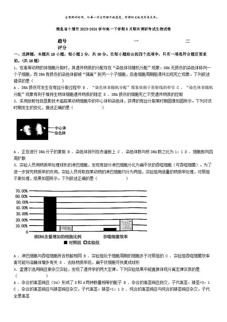 [生物][期末]湖北省十堰市2023-2024学年高一下学期6月期末调研考试生物试卷第1页