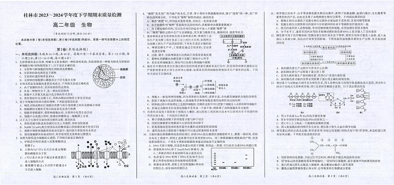 生物-广西省桂林市2023-2024学年高二下学期期末质量检测试题和答案第1页