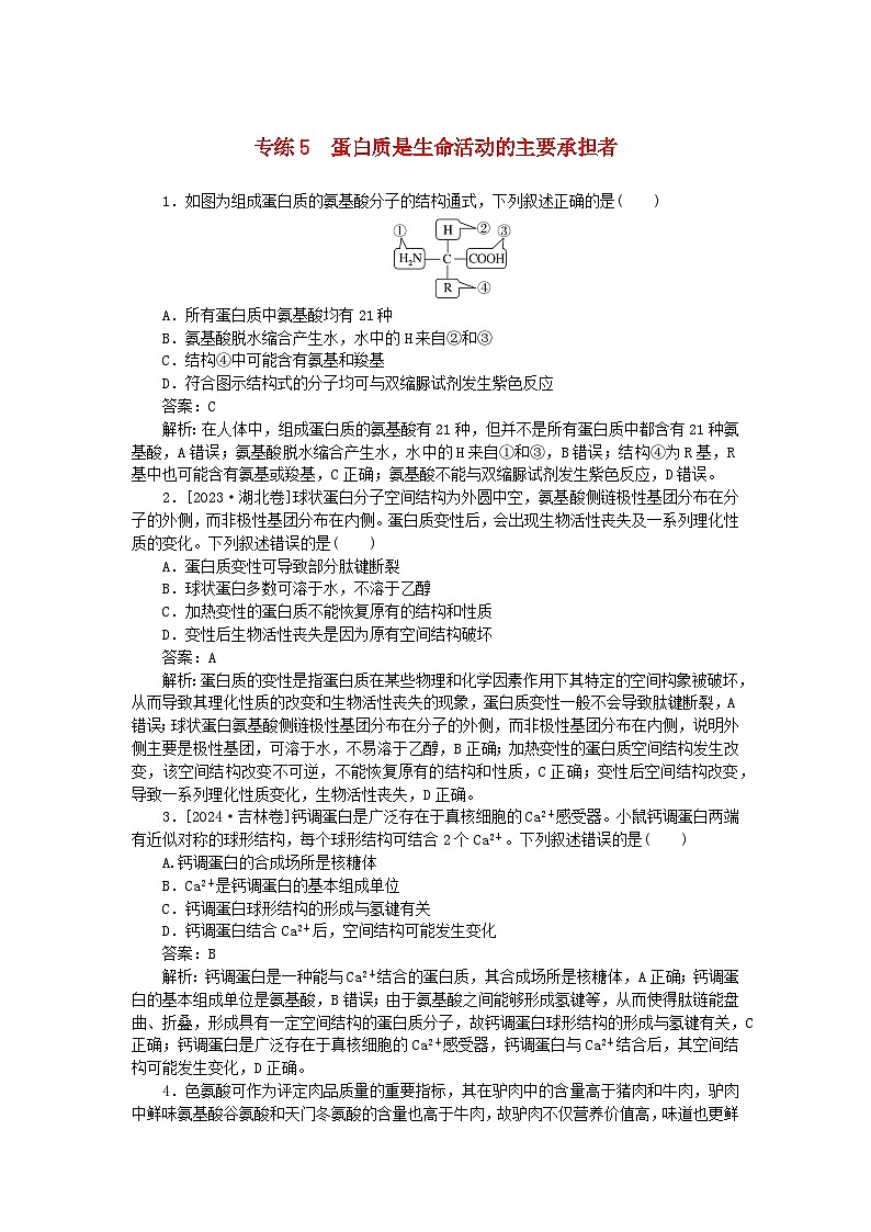 2025版高考生物一轮复习微专题小练习专练5蛋白质是生命活动的主要承担者01