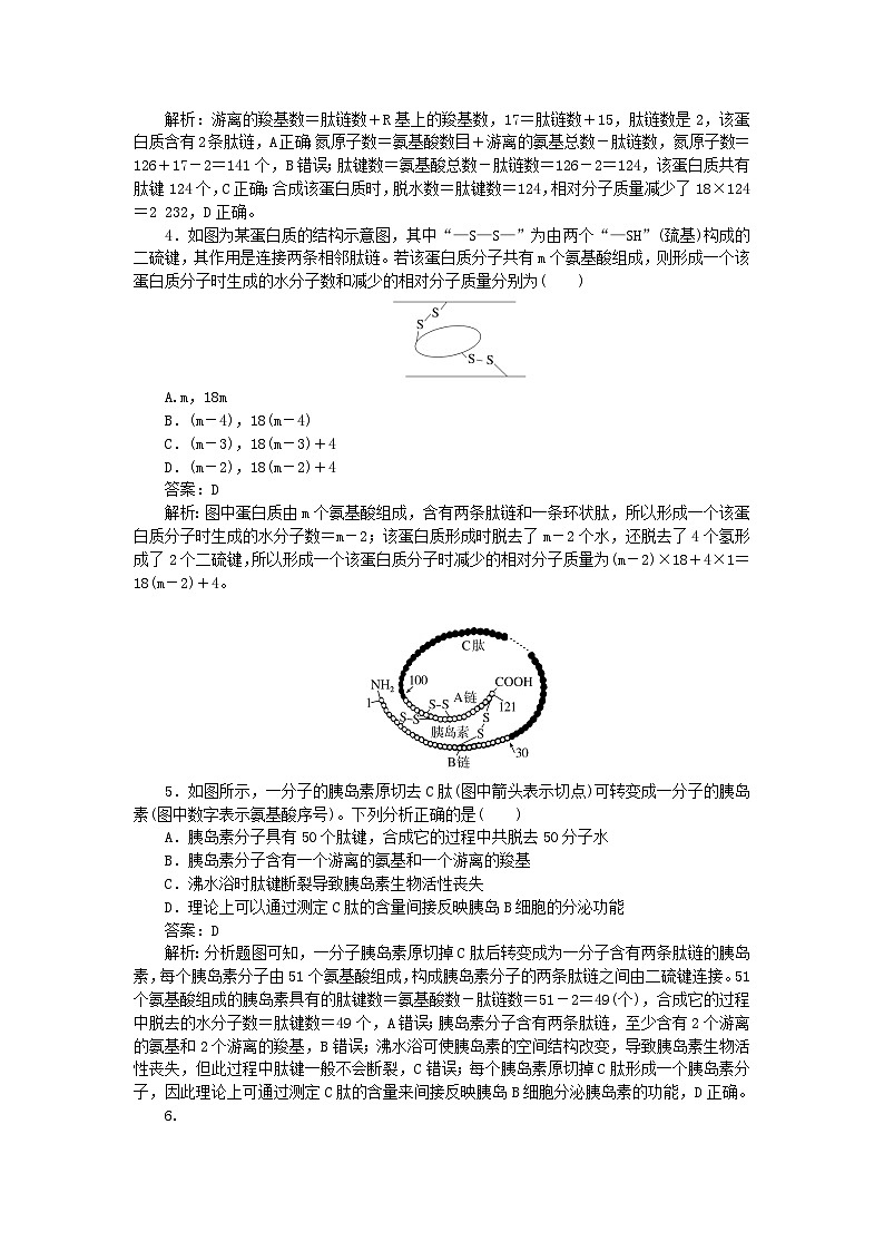 2025版高考生物一轮复习微专题小练习专练6蛋白质的计算分析02