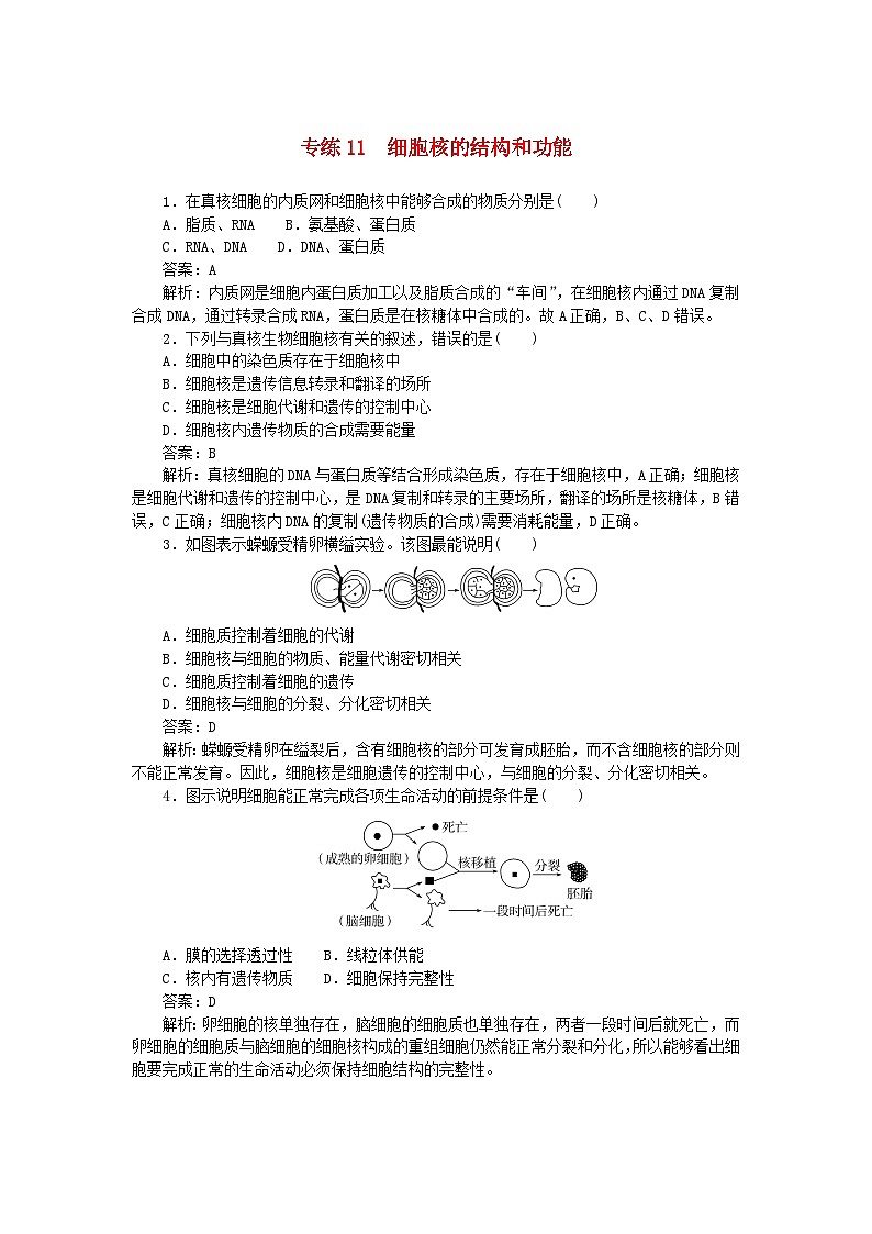 2025版高考生物一轮复习微专题小练习专练11细胞核的结构和功能第1页