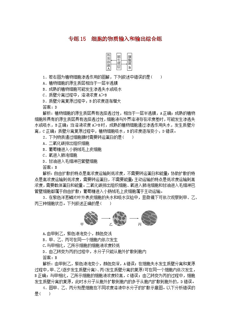 2025版高考生物一轮复习微专题小练习专练15细胞的物质输入和输出综合练第1页