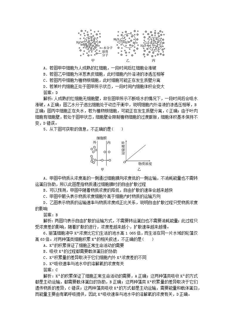 2025版高考生物一轮复习微专题小练习专练15细胞的物质输入和输出综合练第2页