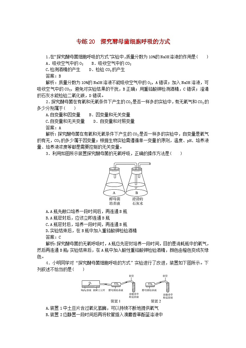 2025版高考生物一轮复习微专题小练习专练20探究酵母菌细胞呼吸的方式第1页