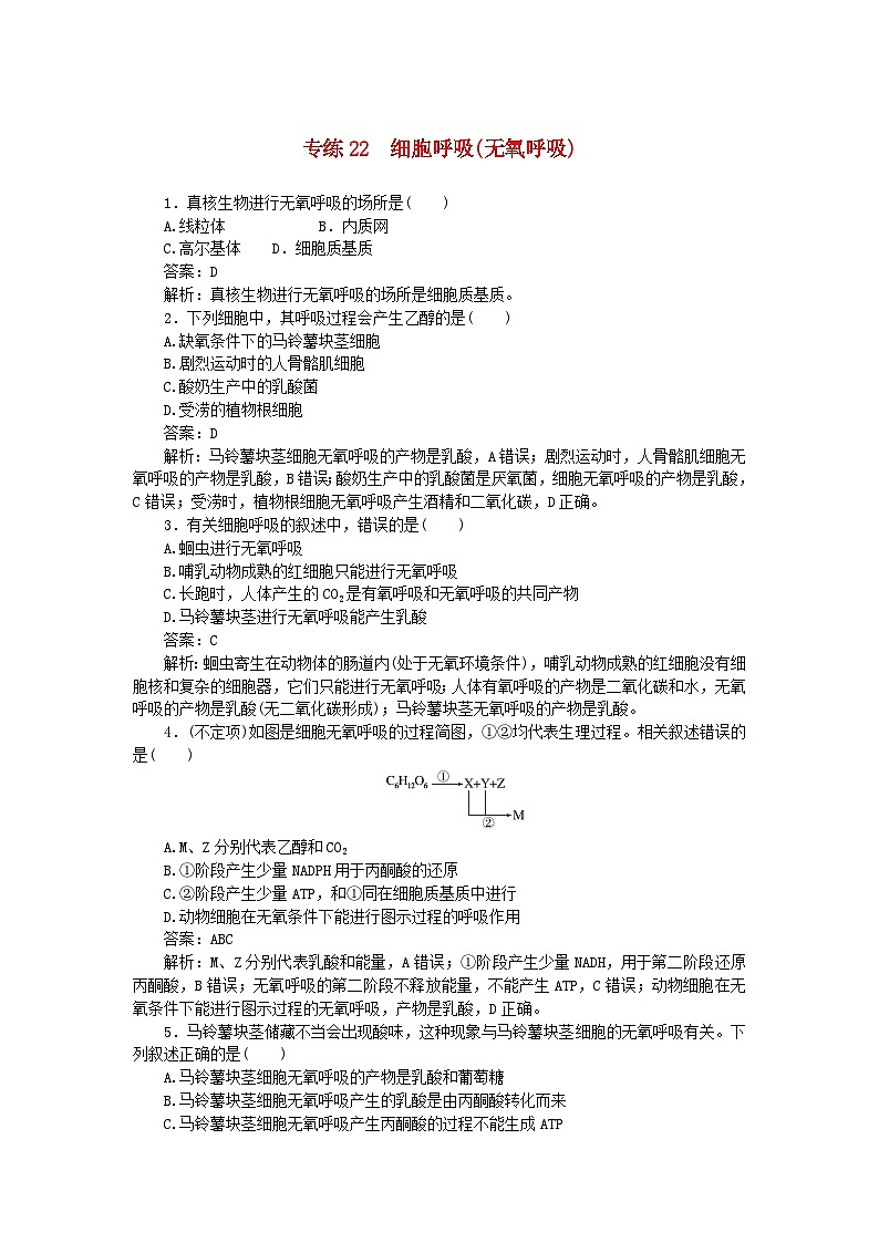 2025版高考生物一轮复习微专题小练习专练22细胞呼吸无氧呼吸第1页