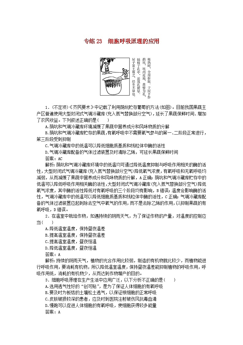 2025版高考生物一轮复习微专题小练习专练23细胞呼吸原理的应用01