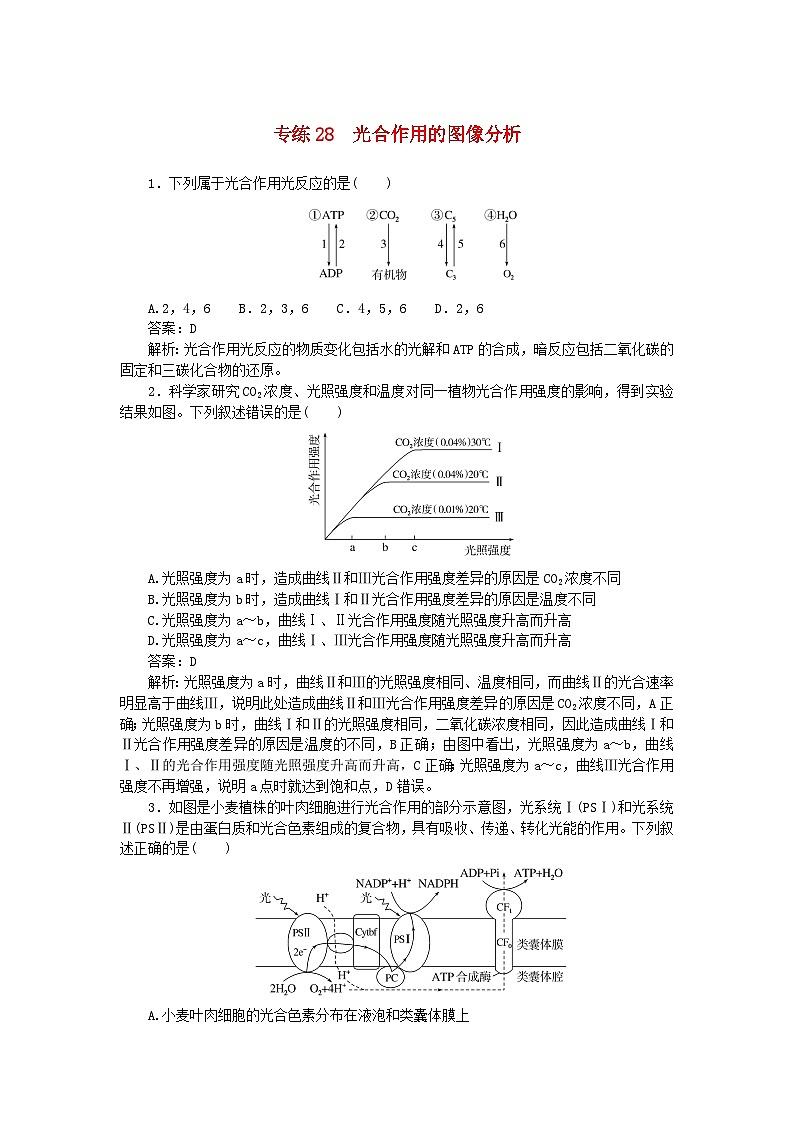 2025版高考生物一轮复习微专题小练习专练28光合作用的图像分析01