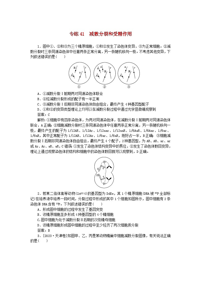 2025版高考生物一轮复习微专题小练习专练41减数分裂和受精作用第1页