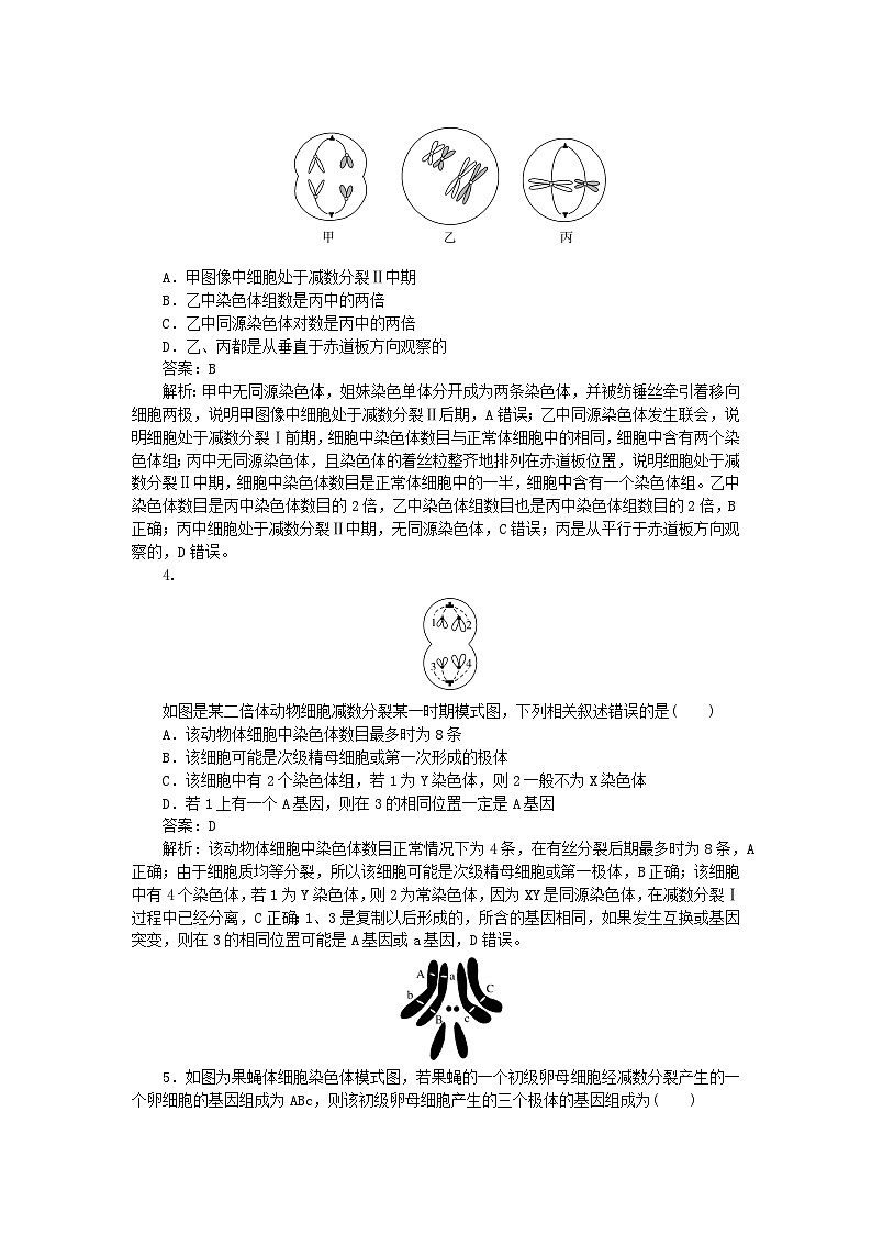 2025版高考生物一轮复习微专题小练习专练41减数分裂和受精作用第2页