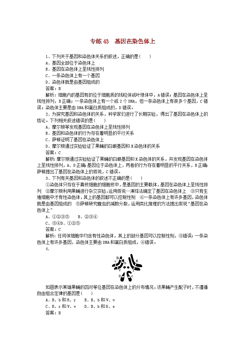 2025版高考生物一轮复习微专题小练习专练43基因在染色体上第1页