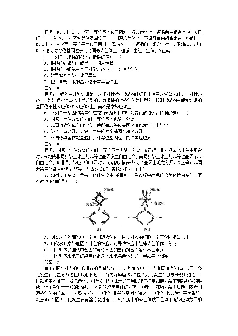 2025版高考生物一轮复习微专题小练习专练43基因在染色体上第2页