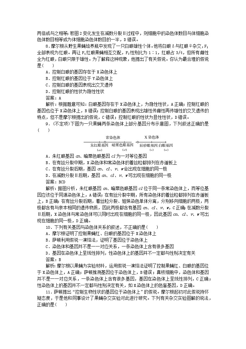 2025版高考生物一轮复习微专题小练习专练43基因在染色体上第3页