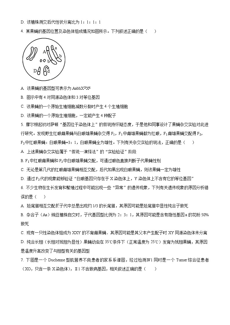 湖北省武汉市重点中学5G联合体2023-2024学年高一下学期期末考试生物试卷（原卷版）第2页