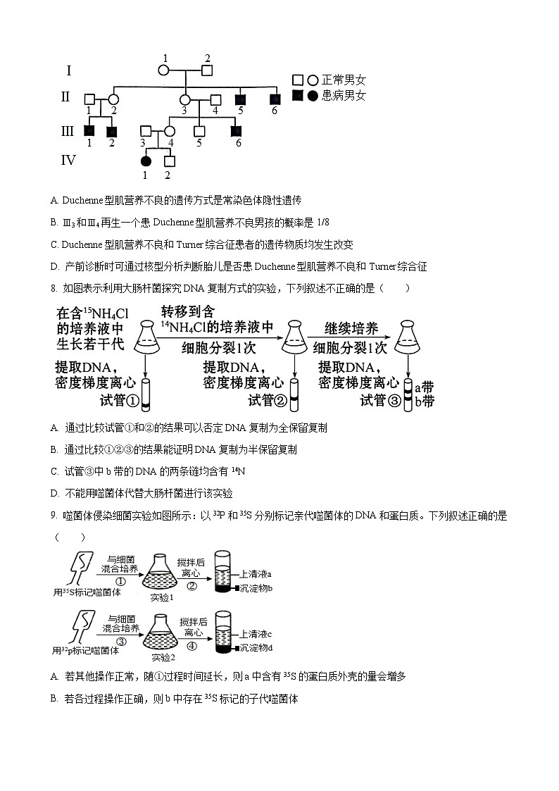 湖北省武汉市重点中学5G联合体2023-2024学年高一下学期期末考试生物试卷（原卷版）第3页