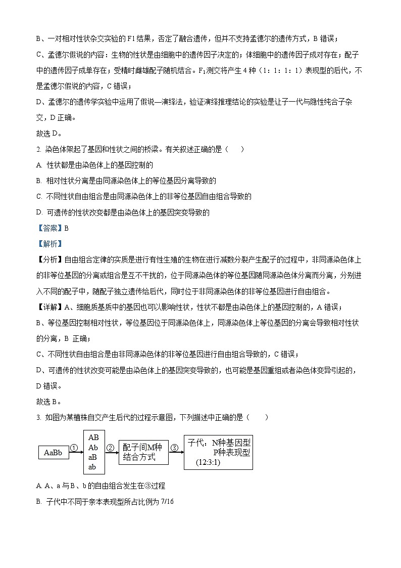 湖北省武汉市重点中学5G联合体2023-2024学年高一下学期期末考试生物试卷（解析版）第2页