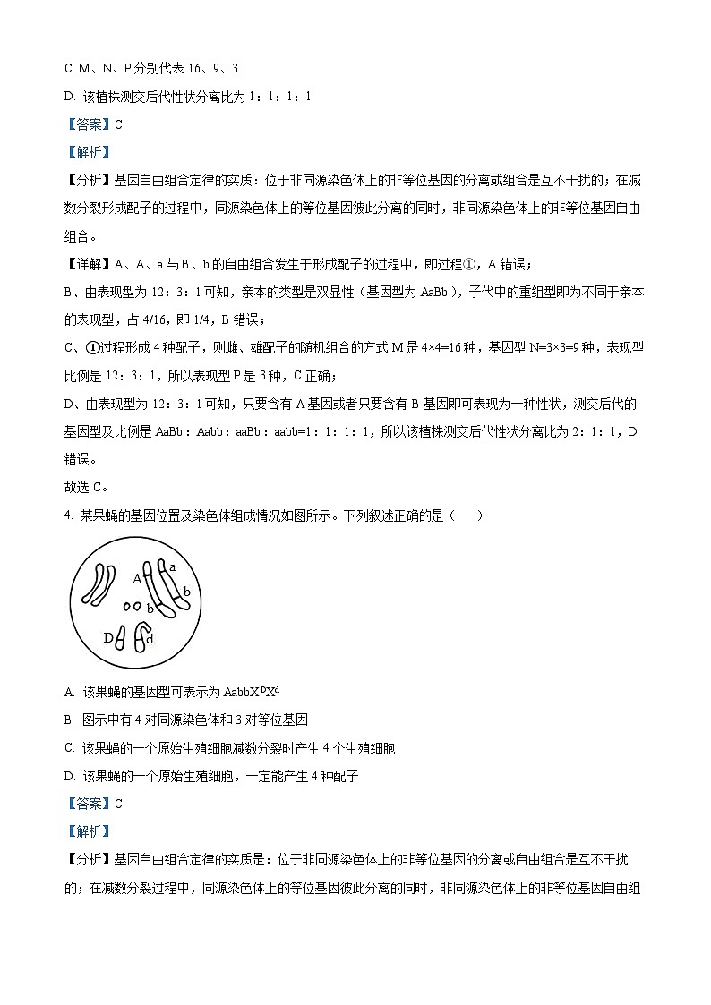 湖北省武汉市重点中学5G联合体2023-2024学年高一下学期期末考试生物试卷（解析版）第3页