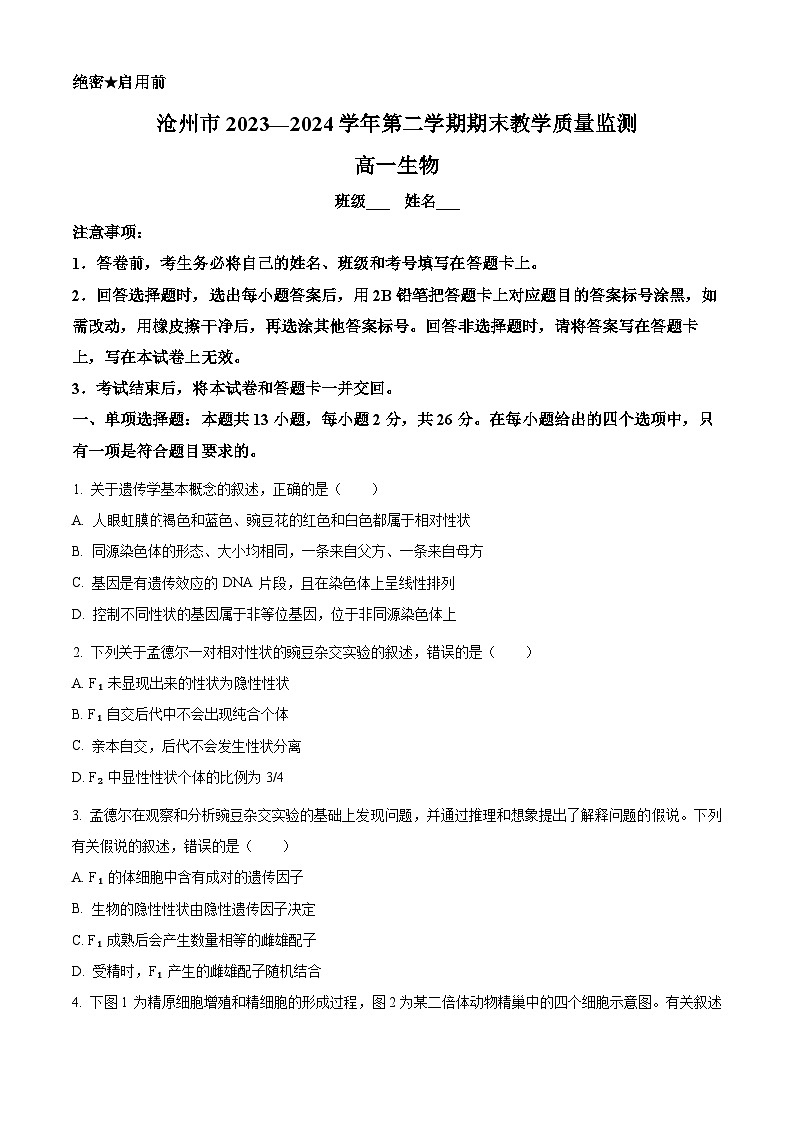 河北省沧州市2023-2024学年高一下学期7月期末考试生物试卷（Word版附解析）第1页