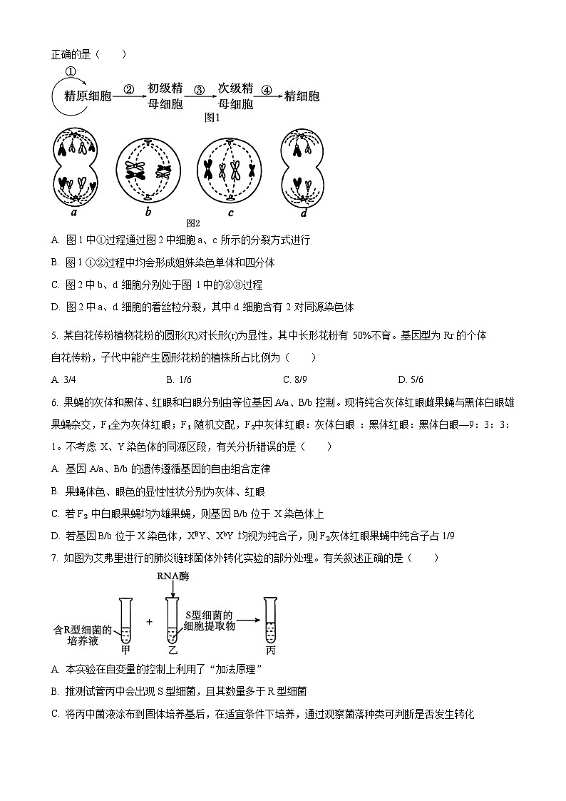 河北省沧州市2023-2024学年高一下学期7月期末考试生物试卷（Word版附解析）第2页