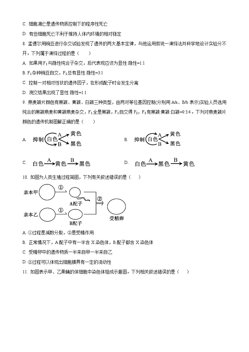 云南省普洱市2023-2024学年高一下学期7月期末考试生物试卷（Word版附解析）03