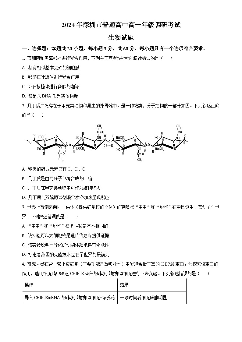 广东省深圳市2023-2024学年高一下学期7月期末考试生物试卷（Word版附解析）01
