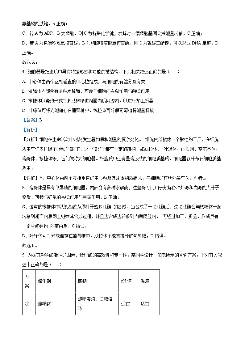 精品解析：2025届四川省内江市高三上学期零模考试生物试题（解析版）第3页