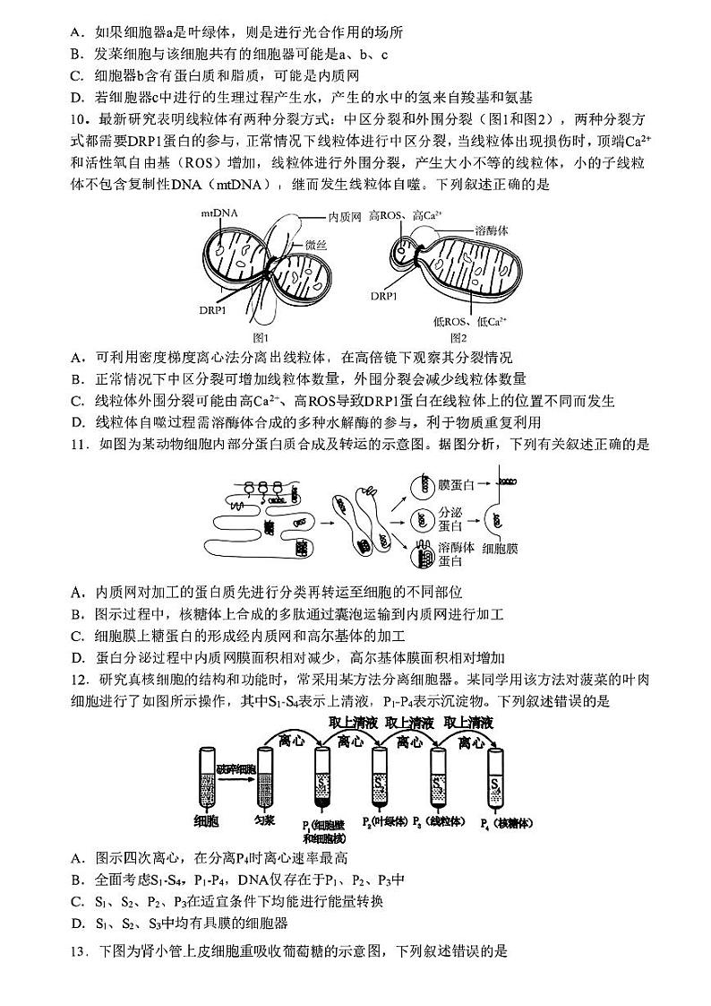黑龙江省哈尔滨市第九中学校2023-2024学年高二下学期期末生物试题03