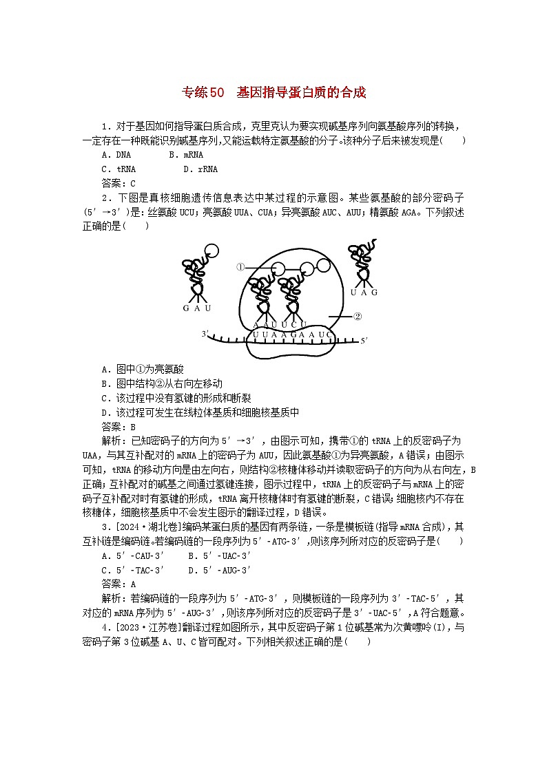 2025版高考生物一轮复习微专题小练习专练50基因指导蛋白质的合成第1页