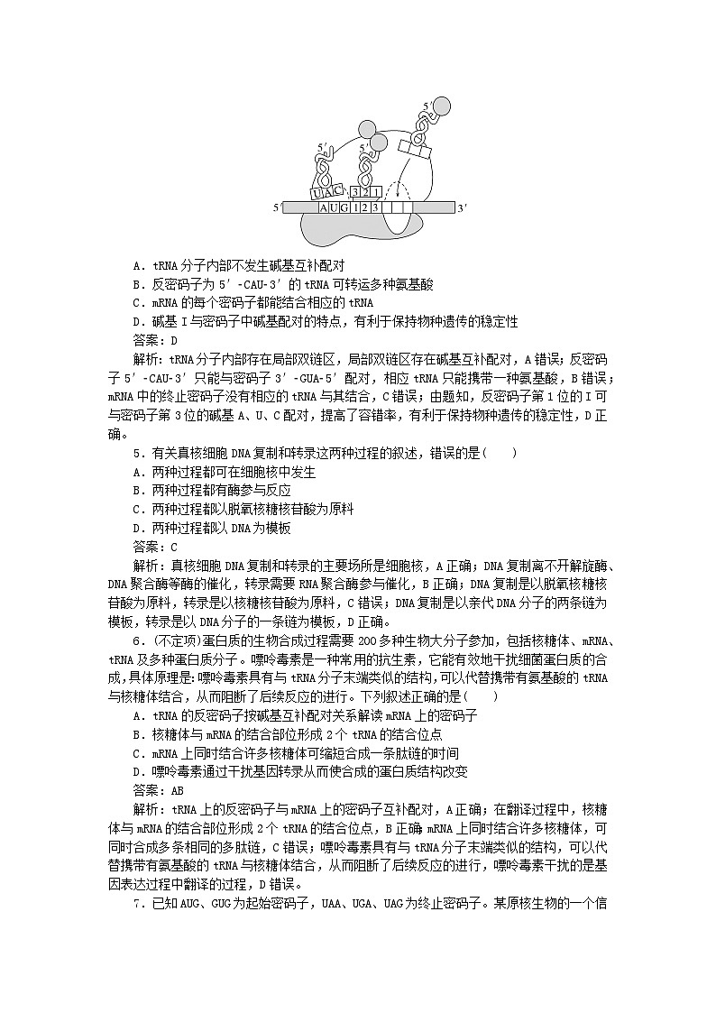 2025版高考生物一轮复习微专题小练习专练50基因指导蛋白质的合成第2页