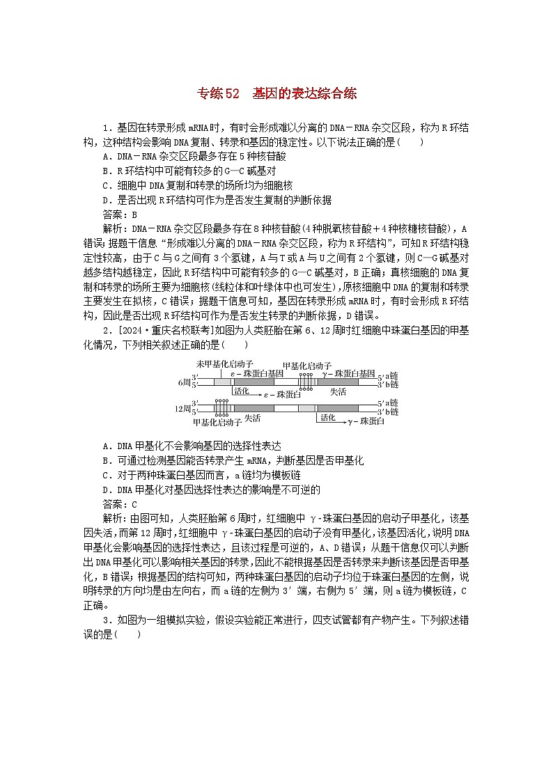 2025版高考生物一轮复习微专题小练习专练52基因的表达综合练第1页