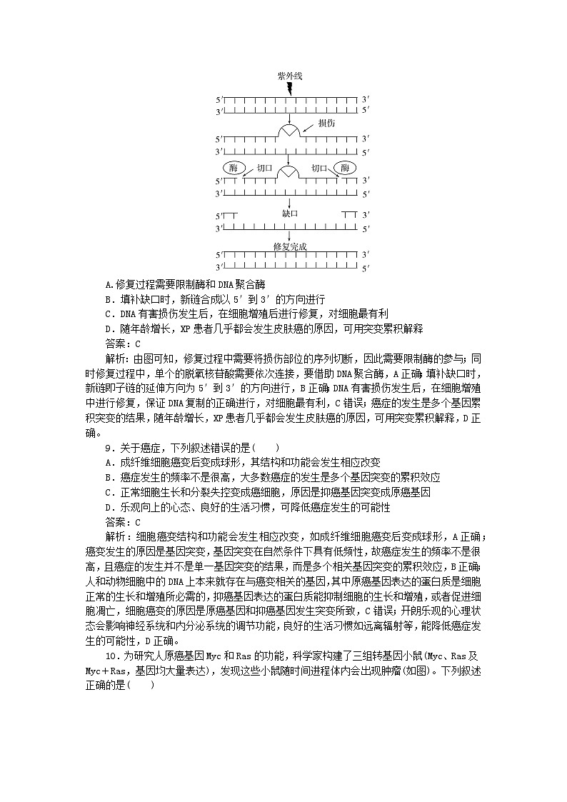 2025版高考生物一轮复习微专题小练习专练53基因突变和基因重组第3页