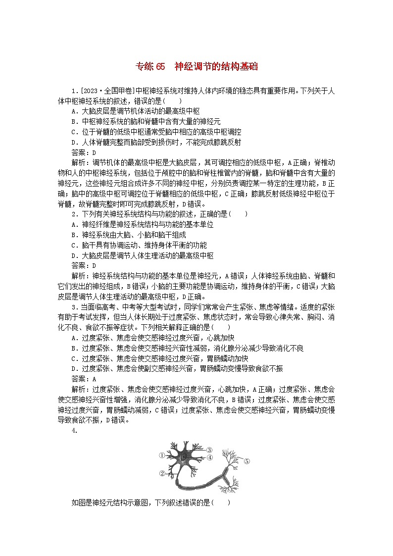 2025版高考生物一轮复习微专题小练习专练65神经调节的结构基础01