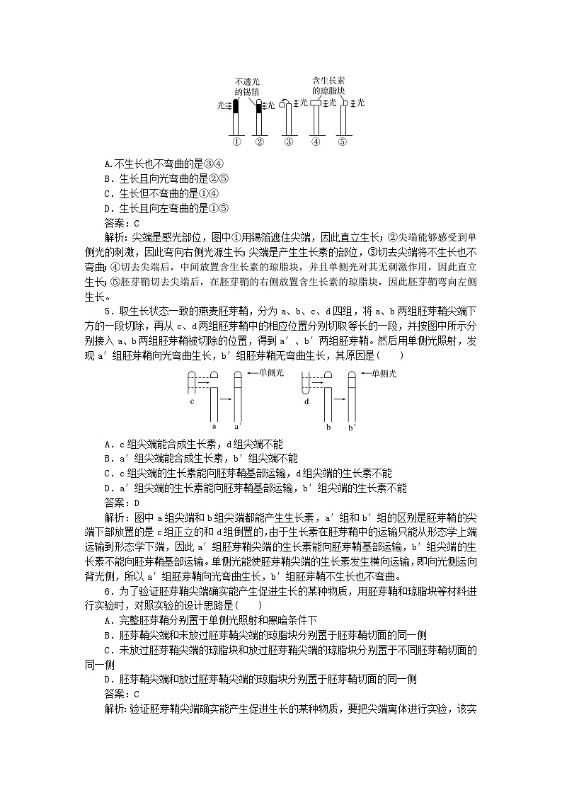 2025版高考生物一轮复习微专题小练习专练77生长素的发现过程02